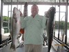 (07/31/2015) - Nice Striped Bass
